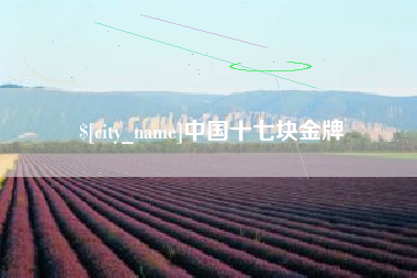 衡阳中国十七块金牌