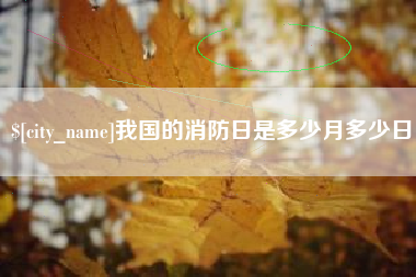 衡阳我国的消防日是多少月多少日