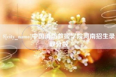 衡阳中国消防救援学院河南招生录取分数