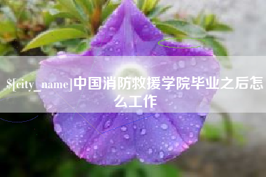 衡阳中国消防救援学院毕业之后怎么工作