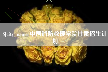 衡阳中国消防救援学院甘肃招生计划