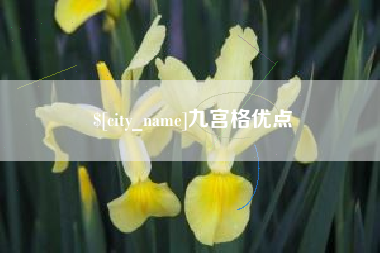 衡阳九宫格优点