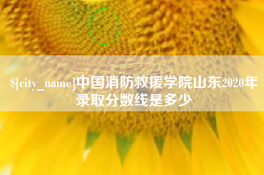 衡阳中国消防救援学院山东2020年录取分数线是多少