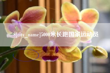衡阳5000米长跑国家运动员