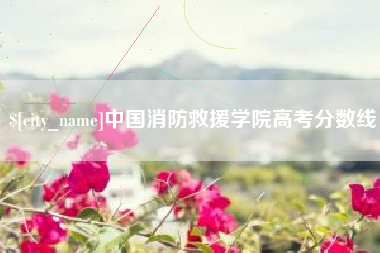 衡阳中国消防救援学院高考分数线