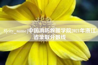 衡阳中国消防救援学院2021年浙江省录取分数线