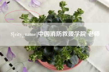 衡阳中国消防救援学院 老师
