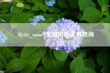 衡阳全国消防证书查询