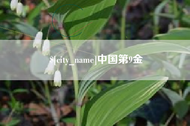 衡阳中国第9金