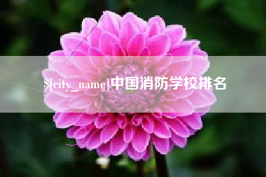 衡阳中国消防学校排名