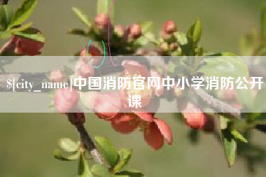 衡阳中国消防官网中小学消防公开课