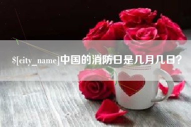 衡阳中国的消防日是几月几日？