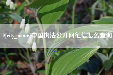 衡阳中国执法公开网征信怎么查询