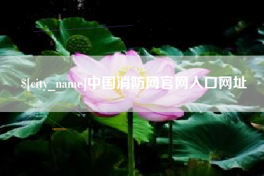 衡阳中国消防网官网入口网址