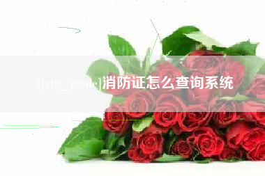 衡阳消防证怎么查询系统