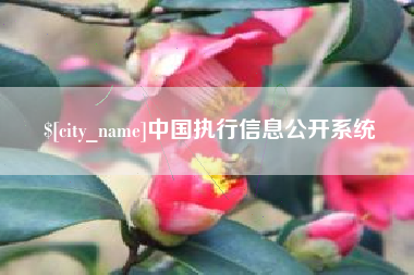 衡阳中国执行信息公开系统