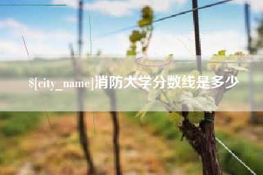 衡阳消防大学分数线是多少