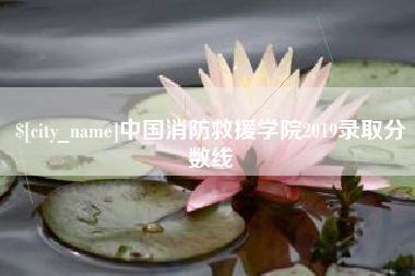 衡阳中国消防救援学院2019录取分数线