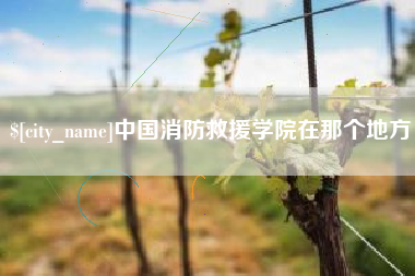 衡阳中国消防救援学院在那个地方