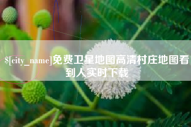 衡阳免费卫星地图高清村庄地图看到人实时下载