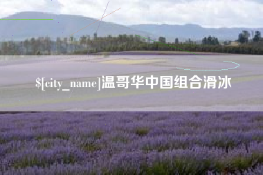 衡阳温哥华中国组合滑冰