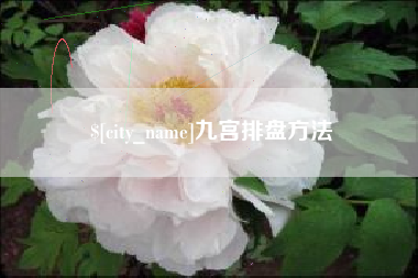 衡阳九宫排盘方法