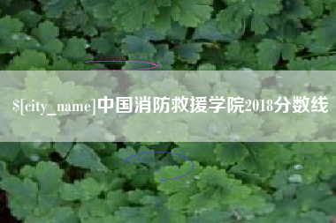 衡阳中国消防救援学院2018分数线