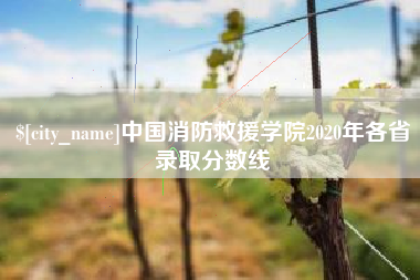 衡阳中国消防救援学院2020年各省录取分数线