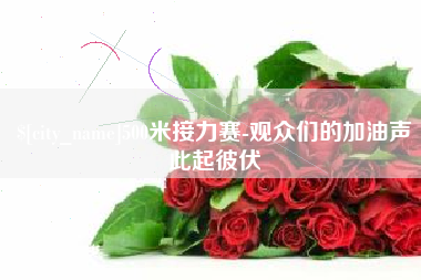 衡阳500米接力赛-观众们的加油声此起彼伏