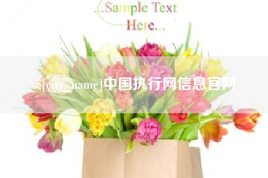 衡阳中国执行网信息官网