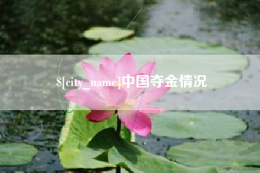 衡阳中国夺金情况