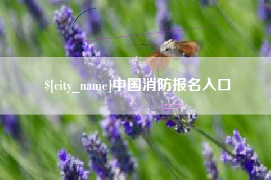 衡阳中国消防报名入口