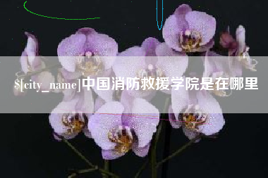 衡阳中国消防救援学院是在哪里