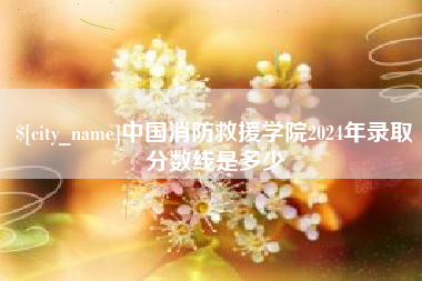 衡阳中国消防救援学院2024年录取分数线是多少