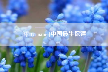 衡阳中国最牛保镖