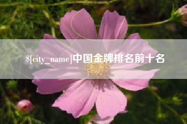 衡阳中国金牌排名前十名