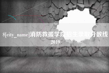 衡阳消防救援学院招生录取分数线2019