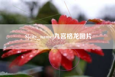 衡阳九宫格龙图片