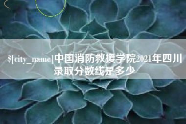 衡阳中国消防救援学院2021年四川录取分数线是多少