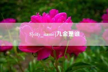 衡阳九金是谁