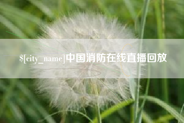 衡阳中国消防在线直播回放
