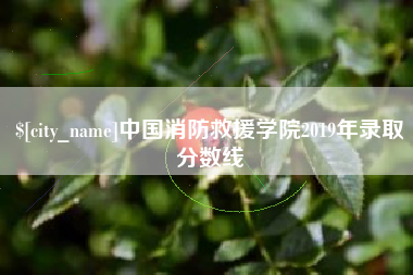 衡阳中国消防救援学院2019年录取分数线