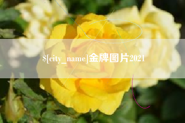 衡阳金牌图片2021