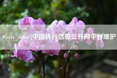 衡阳中国执行信息公开网平台维护