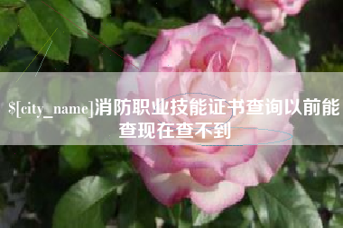衡阳消防职业技能证书查询以前能查现在查不到