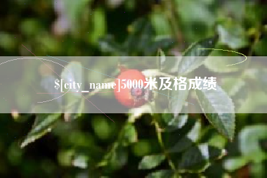 衡阳5000米及格成绩