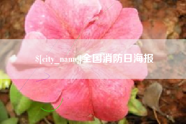 衡阳全国消防日海报