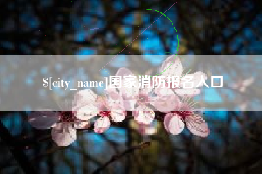 衡阳国家消防报名入口