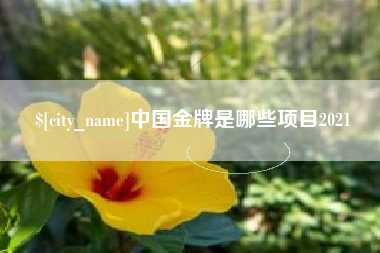 衡阳中国金牌是哪些项目2021
