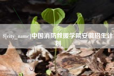 衡阳中国消防救援学院安徽招生计划